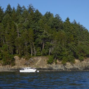 On one of the three Park mooring buoys at Obstruction Pass State Park