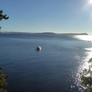 View of the anchorage from one of the waterfront campsites