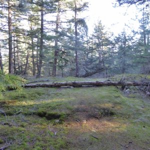 The Bald behind the sign