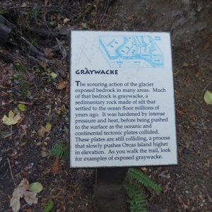 Graywacke