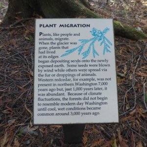 Plant Migration