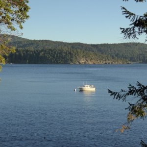 View of boat from the trail