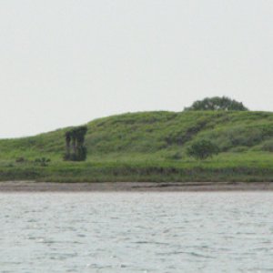 green shoreline, from the heavy rains