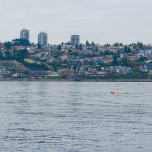 White Rock from Semiahmoo Bay