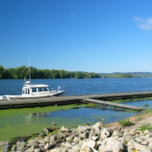 Courtesy dock at Fountain City, duckweed was prevalent this time of year.