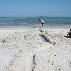Fort Joe
