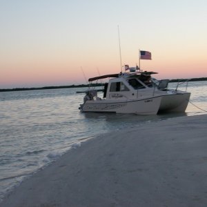 (Molly Brown) Tidal Paradise