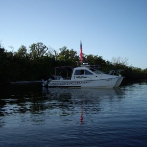 A favorite spot of the dogs, Hog Island, Charlotte Harbor.