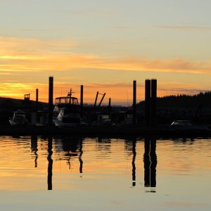 Port Mcneill