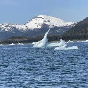 Icebergs Columbia Bay