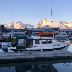 Valdez Harbor
