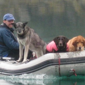 Tom, Nellie, Abby, max