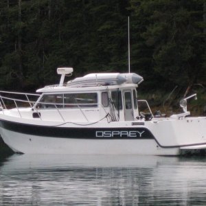 Expedition Canoe
