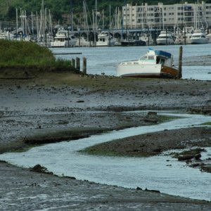 Low Tide - Gig Harbor