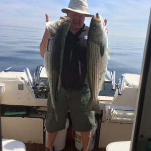 Stripers are in!!!!