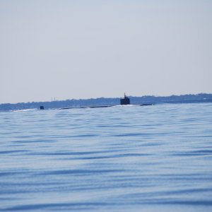 Sub returning home...