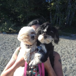 New boating buddies