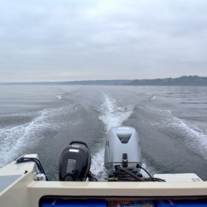 Heading south from Edmonds