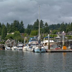 Public dock in Gig Harbor, still full the morning after July 4th.