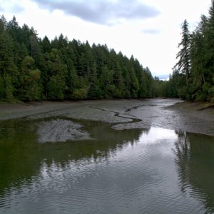Inner cove, dried up at a minus 3 tide