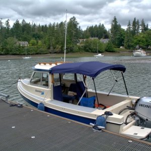 Canopy up for the night