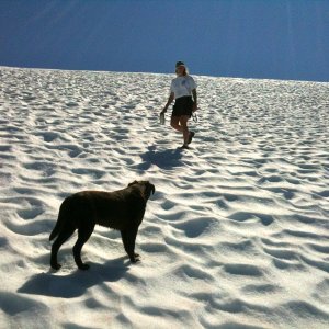 Hiking in the Sound