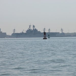 (Sea Angel) Right at home and standing by