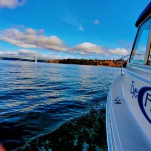 Scouting MA 13 for future fishing areas