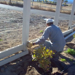 Brent installing vinyl fence