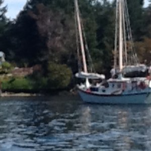 Junk rig sailboat it would heel 15 degrees in this water as a person came out of the dinghy!  Saw it in Nanaimo later so must be ok