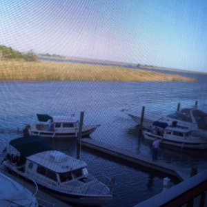 C-Tide, Falcon, Wilma Lee through the screen