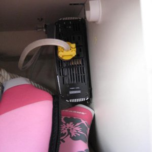 Spring 2009 124