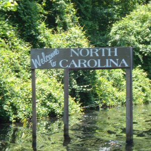 carolina loop 071