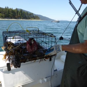 Crabbing with Patrick on the Kim Christine Friday
