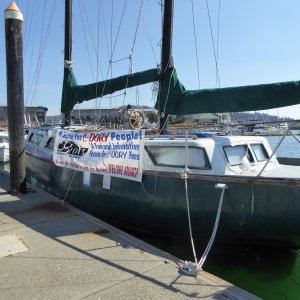 Derelict vessel great for hanging banner and protection from the sunday wind!