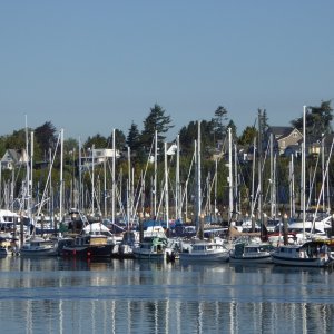 Some of the C-brats Friday afternoon