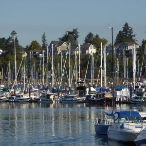 Some of the C-brats Friday afternoon