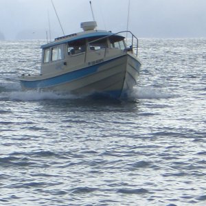 (catdogcat) Dang nice boat