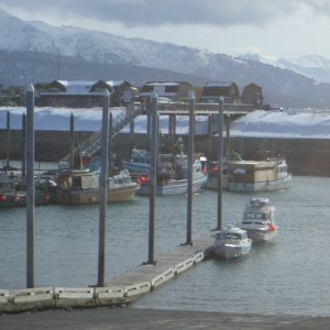 (catdogcat) At the Homer marina.  Thats my uncle behind me.