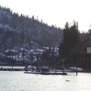 Media '(catdogcat) Halibut cove' in album '(catdogcat) Dang nice boat'
