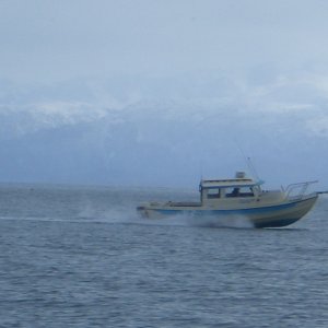Media '(catdogcat) Under way' in album '(catdogcat) Dang nice boat'