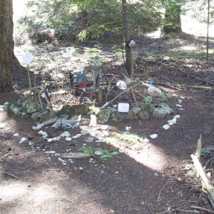 Will, the horse\'s final resting place.  When this island became a park the owners made the government let Will the horse live out his life on the Island. He was very popular with visitors for a number of years.