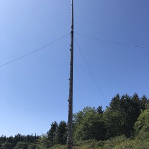 World's tallest totem pole Alert Bay