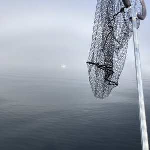Sun fog off Lizard