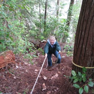On the trail from Echo Bay to Billy Proctors