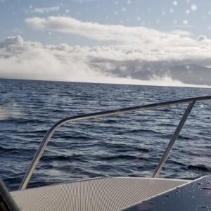 Fog Bank Douglas