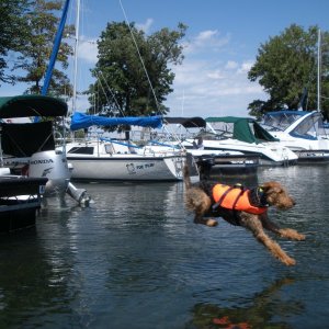 Fly, Boomer!  #4