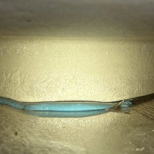 IMG 4876