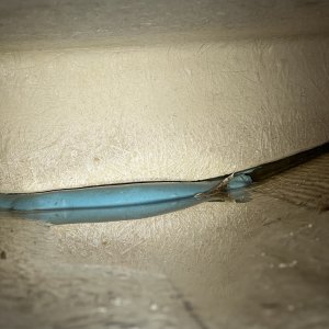 IMG 4877