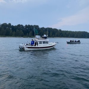 Salmon fishing
